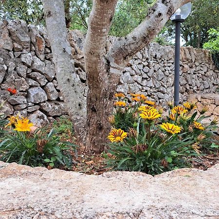 הוילה נוצ'י Casolare Di Puglia מראה חיצוני תמונה
