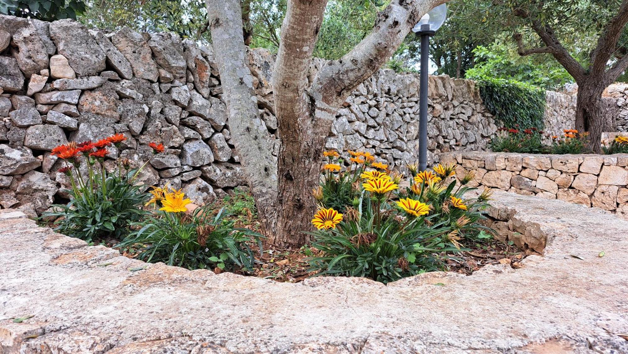 הוילה נוצ'י Casolare Di Puglia מראה חיצוני תמונה